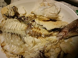 田植えと祭りと鯛と本。