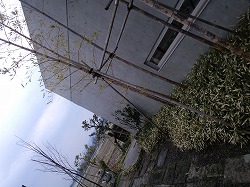 金沢ランチ♪