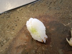 金沢ランチ♪