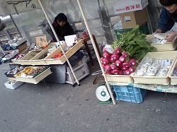 郡上、飛騨、馬籠