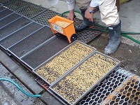 家族展準備完了!
