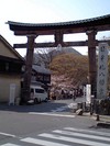 花見!