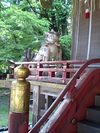 日吉大社!