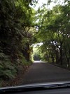 湖岸をドライブ!