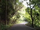 湖岸をドライブ!