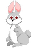 新しい年になっても