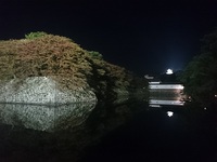 水面に映るライトアップの彦根城を見てきました2014