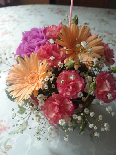 母の日の花 母の日の花