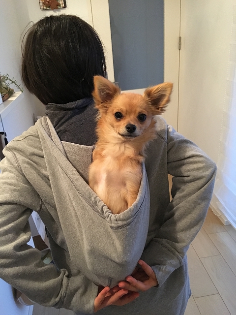 最近の記事のまとめ 最近の記事のまとめ