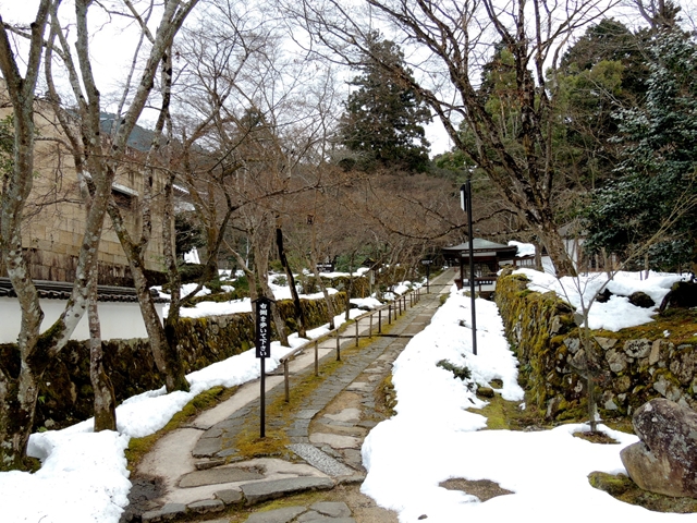 雪の思い出 雪の思い出