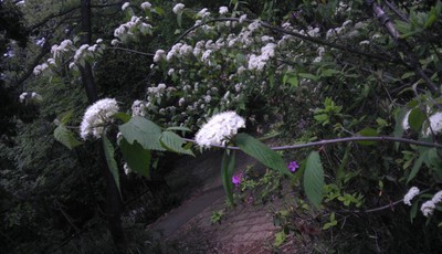長等公園