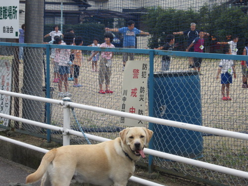 ラジオ体操 はじまり はじまり