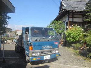 新庄町のコスモス