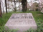 こんないいネタなんで投稿しないの?