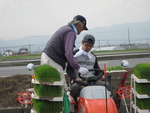 刑事さん始めての田植え