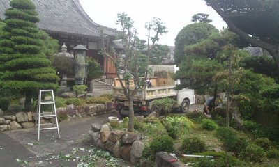 お掃除 見学?
