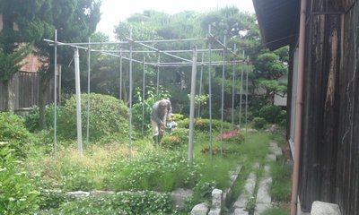 お掃除 見学?