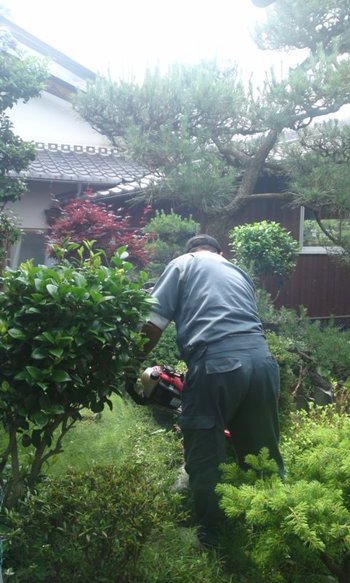 お掃除 見学?