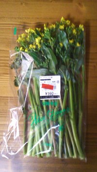 アスパラ菜