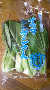 サラダチンゲン菜
