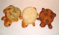 カメのパン