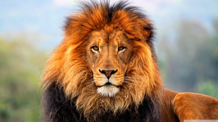 Stand alone