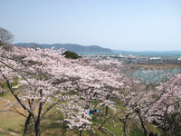 ３．１１の未来へ