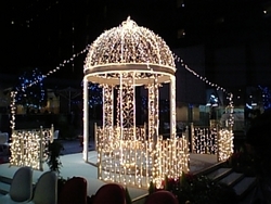 バンビのクリスマス～ｉｎ京都♪