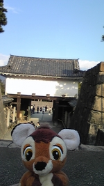 バンビin二条城♪