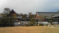 バンビin二条城♪