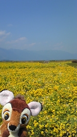 バンビの春でしゅね～♪