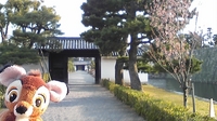 バンビin二条城♪