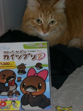 こてつです！