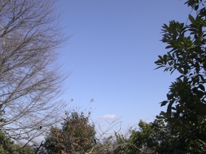 浮雲
