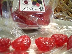 アドベリー収穫祭 スタート♪