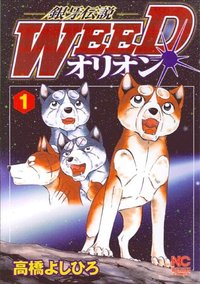 ３代目