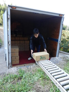 みかん山に行ってきました（11/17）