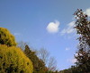 明日は♪