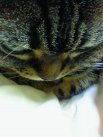 考えていたことは・・・