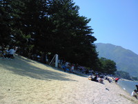 虹の市