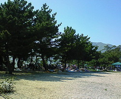 虹の市