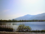 虹の市