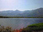 虹の市