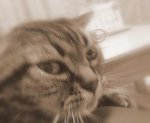 ぶちゃっっ！！