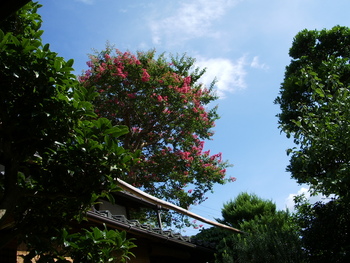 なぜか８月～坂本～