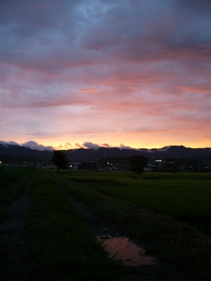 昨日の夕陽・・・雨の中