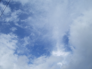 今日のお散歩