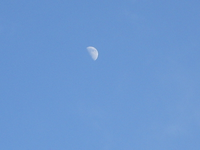 白い月