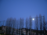 校舎と木立とお月様