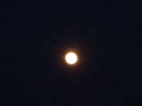 19時半過ぎ。。。